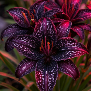 Лилейник Вояж купить по цене от 699р. в интернет-магазине «Посадика» с доставкой почтой в в Вилюйске и по всей России – [изображение №1].